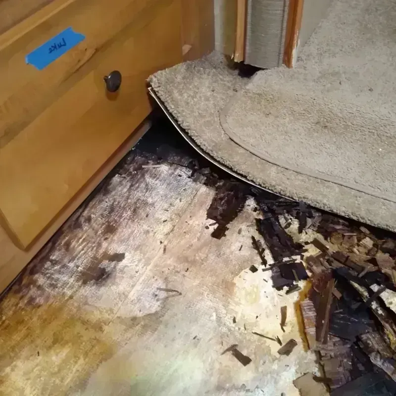 Wood Floor Water Damage in Edgewood, WA